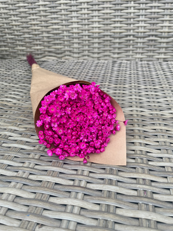 Glixia - Glixia extra- cerise