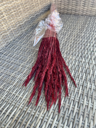 Pampas - Pampas Piumette bordo