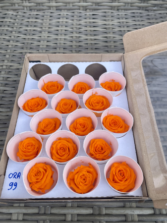 TRANDAFIRI CRIOGENATI-ROSEAMOR - ORA-99, Marime XS