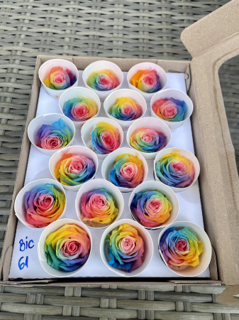 Dimensiune XS - BIC-61, Marime XS