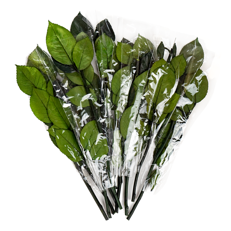 Dimensiune L - Tija trandafiri criogenata, 30 cm