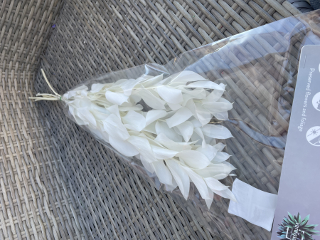 Ruscus Alb criogenat [1]