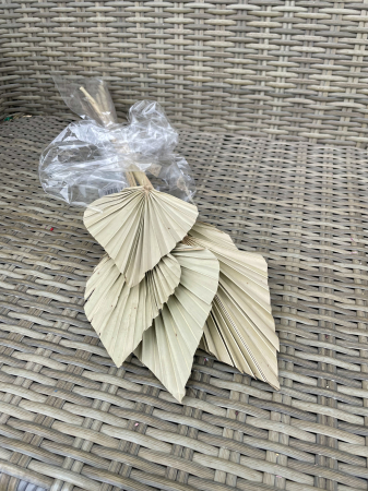 Frunze Palmier - Frunze palmier natur, pachet mare