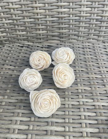 Shola - Beauty ranunculus Shola, 5 capete