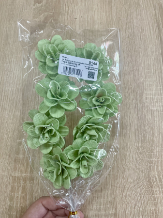 Akacia - Akacia vopsita verde menta 6 cm