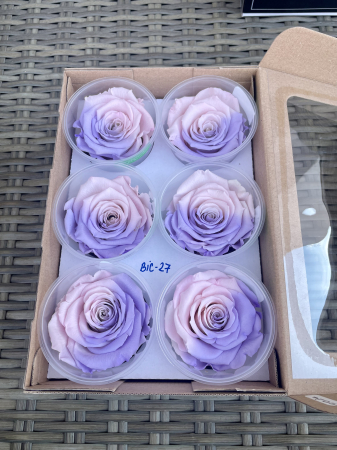 Dimensiune LL+ - BIC-27