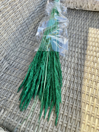 Pampas - Piumette Cristina verde padure