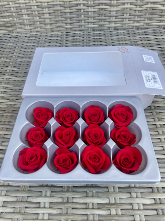 Dimensiune SMALL(diametru:3.5-4.5cm,inaltime:3.2-3.7cm) - Trandafir Small Rosu