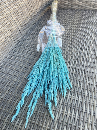 Pampas - Pampas Piumette baby blue