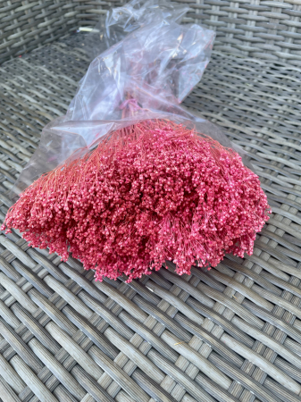 Broom Bloom - Broom bloom roz pudra