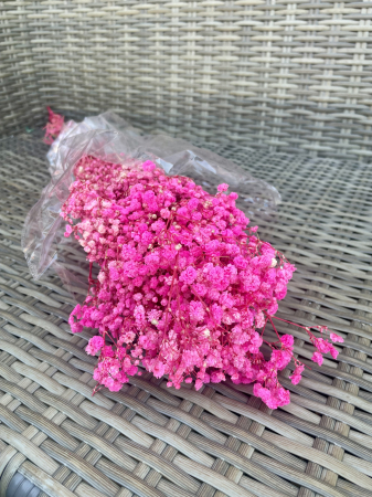 Gypsophila - Gypsophila roz intens