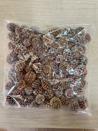 CRACIUN MAGIC - Conuri naturale cu putin alb