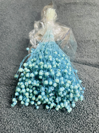 IN - In vopsit baby blue