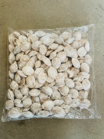 CRACIUN MAGIC - Samburi de caise vopsiti albi