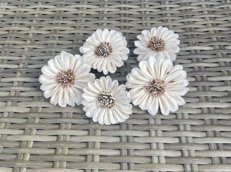 FLORI SI PLANTE USCATE - Bark Shola, 6cm, 5 capete