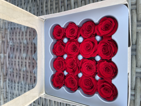 Dimensiune PRINCESS( Diametru 2.5-3cm, Inaltime:2-2.5cm) - Trandafir Princess Rosu