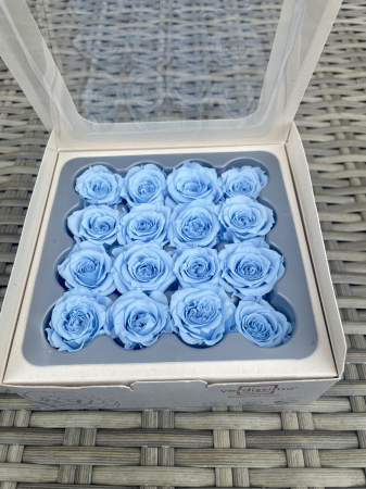 Dimensiune PRINCESS( Diametru 2.5-3cm, Inaltime:2-2.5cm) - Trandafir Princess Light Blue