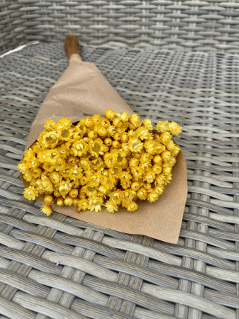 Glixia - Glixia extra- yellow