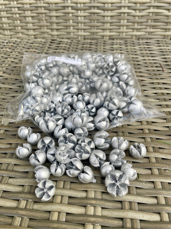 CRACIUN MAGIC - Seminte eucalipt argintii