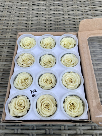 Dimensiune S - YEL-01, Marime S