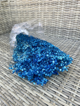 FLORI SI PLANTE USCATE - Gypsophila albastru inchis