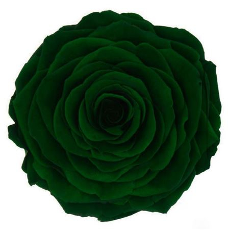 Dimensiune XS - GRE-02, marime XS