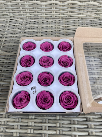 Dimensiune S - VIO-02, Marime S