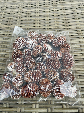 CRACIUN MAGIC - Conuri vopsite cu putin alb