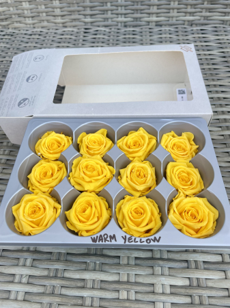Dimensiune SMALL(diametru:3.5-4.5cm,inaltime:3.2-3.7cm) - Trandafir Small Warm Yellow