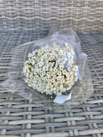 Glixia - Glixia natur