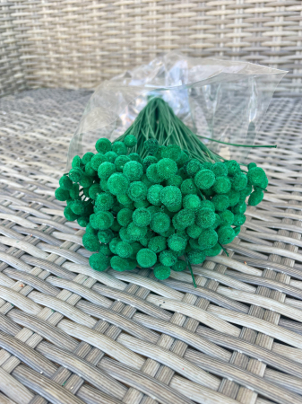 Amarelihno - Botao verde padure