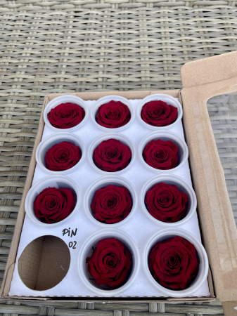 Dimensiune S - PIN-02, Marime S