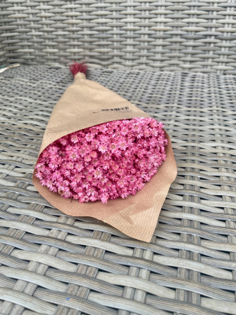 Glixia - Glixia extra- light pink