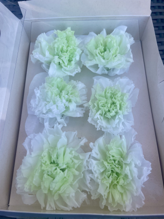 Garoafe criogenate - Garoafa criogenata verde degrade alb