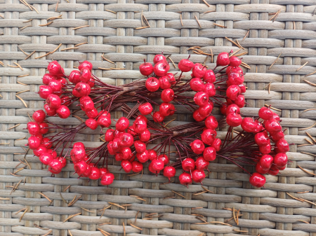 CRACIUN MAGIC - Set merisoare