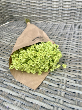 Glixia - Glixia extra- mint