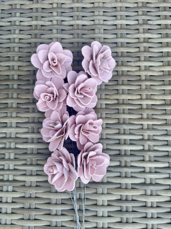 Akacia - Akacia vopsita roz deschis