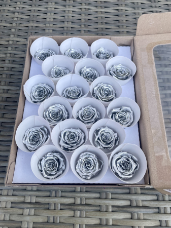 TRANDAFIRI CRIOGENATI-ROSEAMOR - SILVER, Marime XS