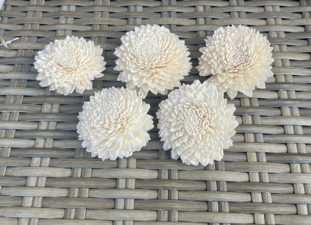 Shola - Crizantema Shola 6cm, 5 capete