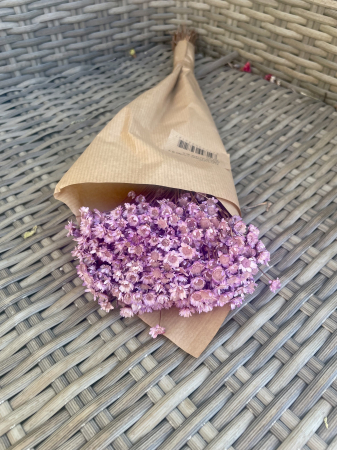 Glixia - Glixia extra- milka