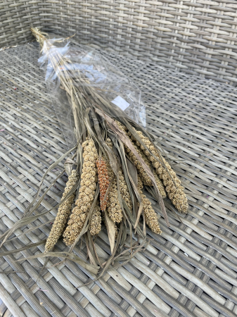 Csumiz - Csumiz natural