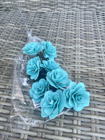 Akacia - Akacia aqua 6cm