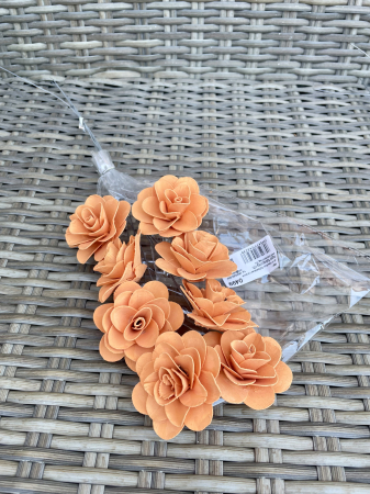 Akacia - Akacia vopsita peach 6 cm