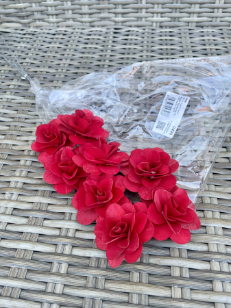 Akacia - Akacia vopsita rosie 6 cm