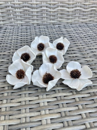 Shola - Anemone Shola Capete-pachet 7