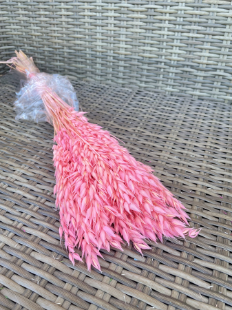 Avena - Avena baby pink