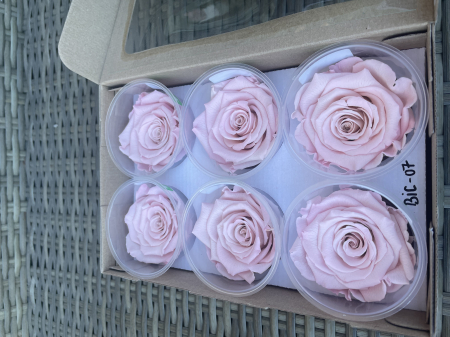 Dimensiune LL+ - Bic 07,marime LL+