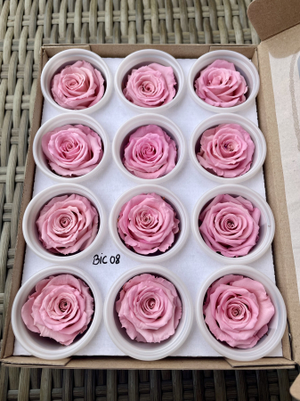 Dimensiune S - BIC-08,marime S