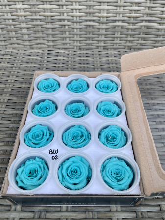 Dimensiune S - BLU-02,marime S