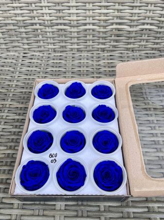 Dimensiune S - BLU-03,marime S